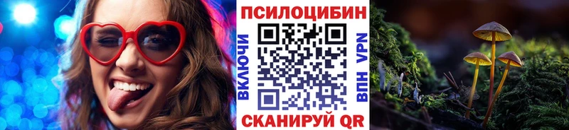 Псилоцибиновые грибы Psilocybe  Казань 